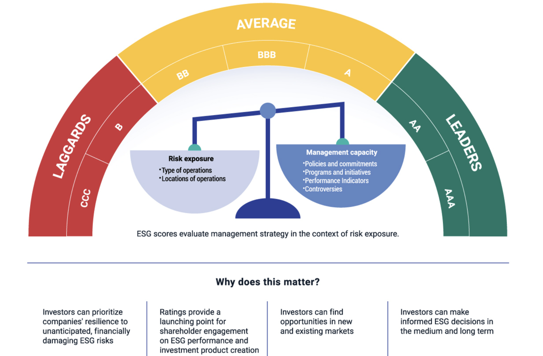 ESG принципы. ESG инфографика. Управление ESG проектами. ESG стандарты.